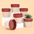 Ecopod Planter 4"